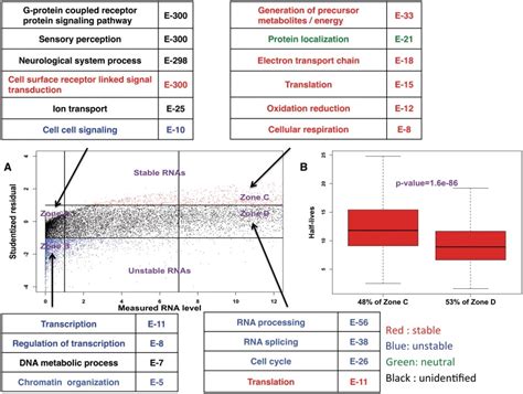 Histone Modification Expression Table に対する画像結果