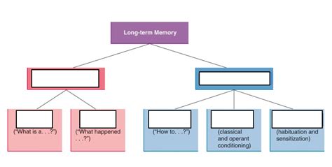 Image result for Long-Term Memory Structure