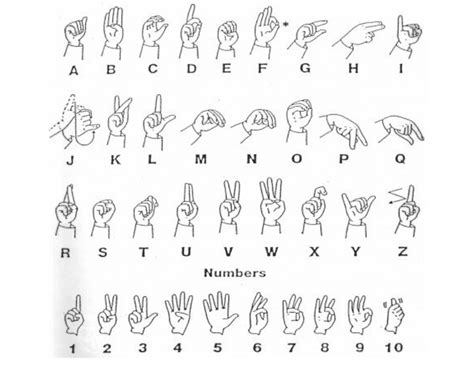 Toradh íomhá ar Teaching Babies Their Numbers