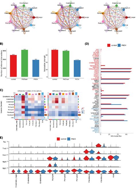 Cell-Cell Interaction Network Visualization に対する画像結果