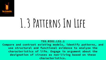 Image result for Patterns of Life Lesson 3