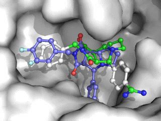 Docking Sampling with Minima GIF に対する画像結果
