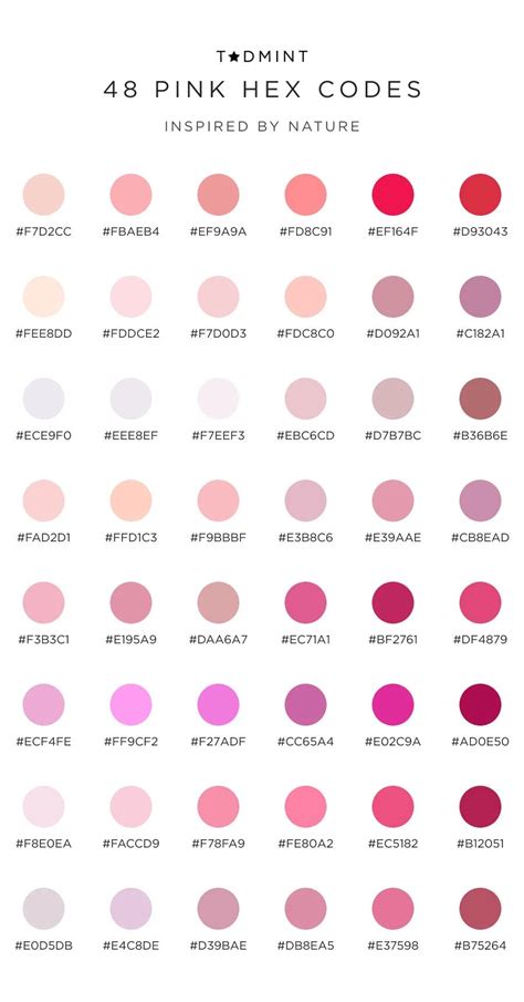 Image result for Pink Color Palette