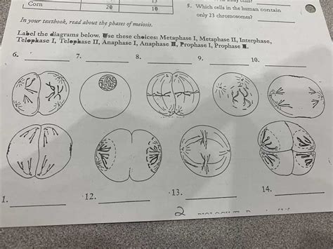Image result for Different Types of Diagram Labels