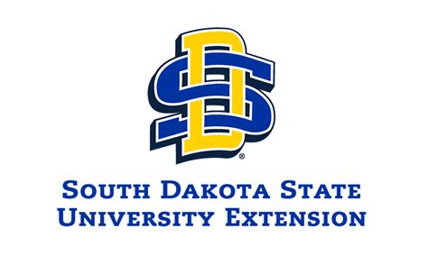 Toradh íomhá ar CodeRunner vs Extension Logo