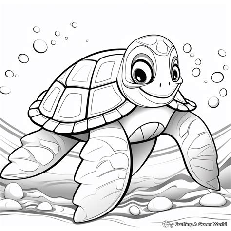 Toradh íomhá ar Turtle Shell Coloring