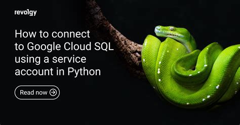 How to Use Google SQL with Python に対する画像結果
