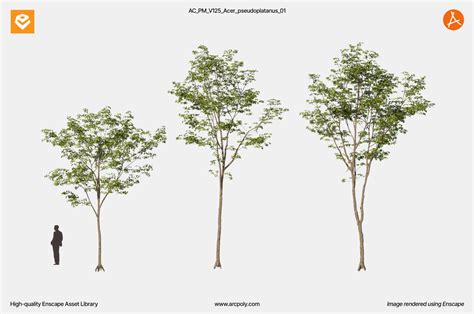 Tree Revit Enscape に対する画像結果