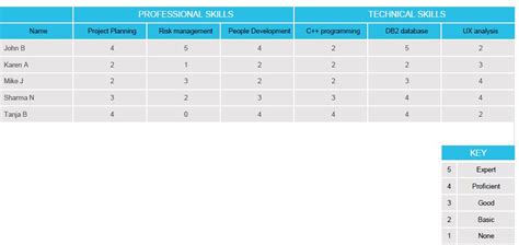 Competency Mapping Process に対する画像結果