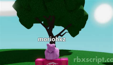 Toradh íomhá ar Slap Battles Script