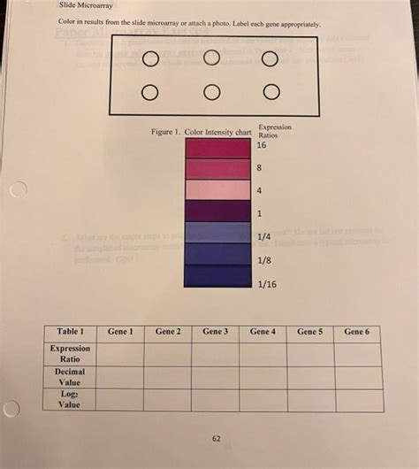 Slides Microarray Color Intensity Chart に対する画像結果