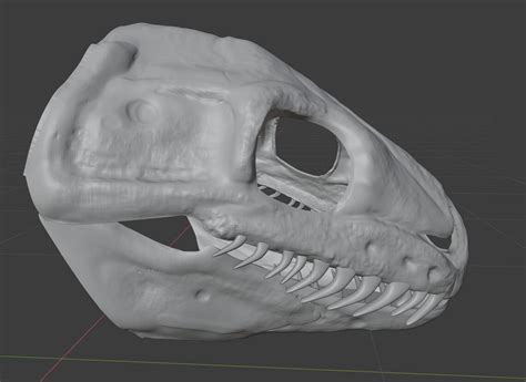 Image result for Ball Python Skull