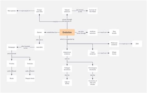 Image result for Evolution Concept Map Answer Key