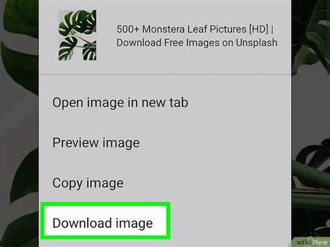 Image result for How to Download Any File