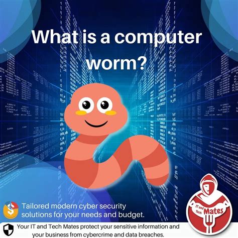 Image result for Computer Networms