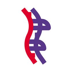 Image result for Backbone Vector