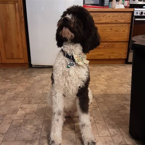 Image result for September Fall Stickers