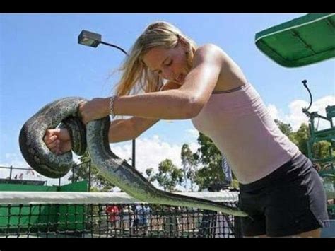 When Snakes Attack Humans に対する画像結果