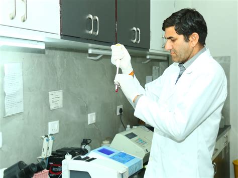 Image result for Path Lab 3D Photo