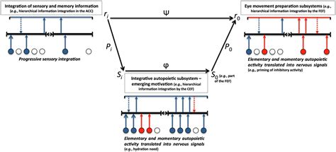 Image result for Mem Code Complexity