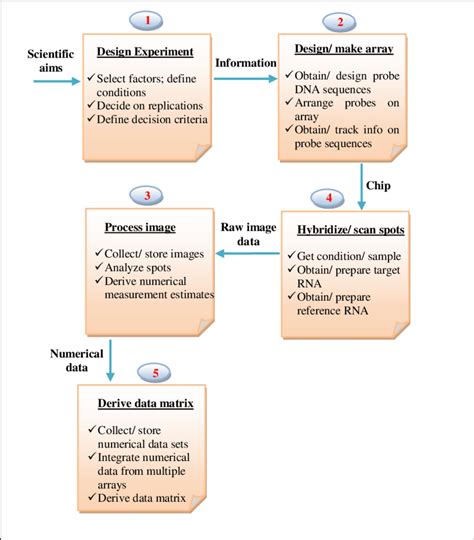 Image result for Microarray Data Matrix