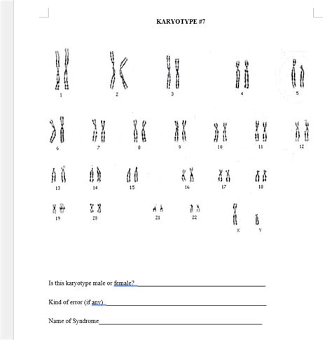 Image result for Chat Bot UI React Native