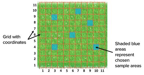 Afbeeldingsresultaten voor Random Sampling Field Work