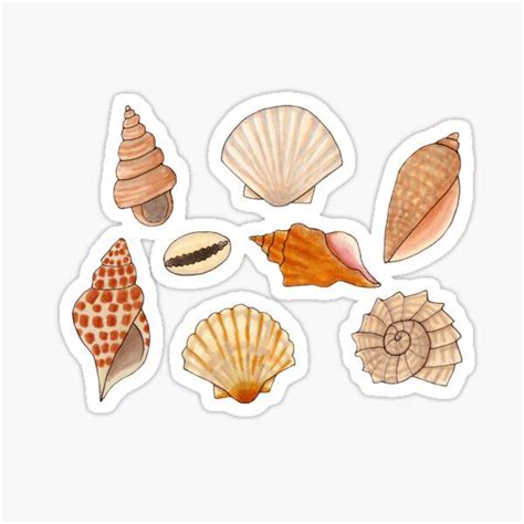 Image result for Turnaround Stickers Shell