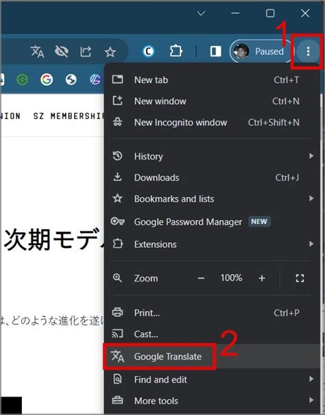 Image result for Google Translate Web Page