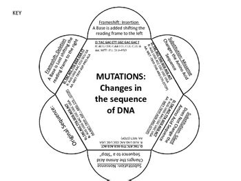 Image result for Mutation Foldable Answer Key