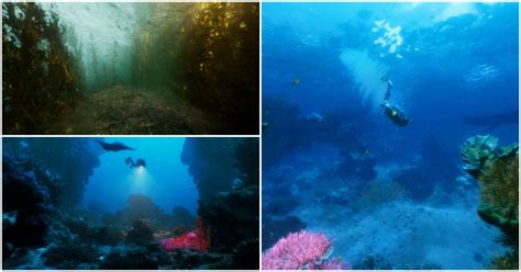 Unreal Engine Water Normal Map に対する画像結果