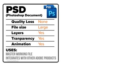 Image result for PSD File Type