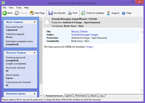 Toradh íomhá ar Passware Kit Forensic Key