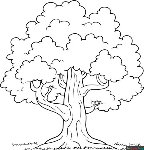 Image result for Tree Outline Drawing