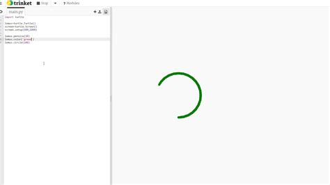 Image result for Python Turtle Draw Circle