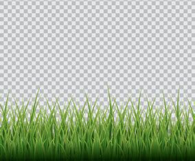 Free Transparent Vector Graphics に対する画像結果