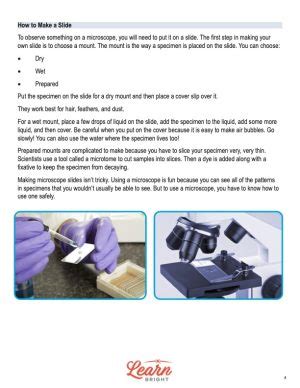 Image result for How Do You Use a Microscope