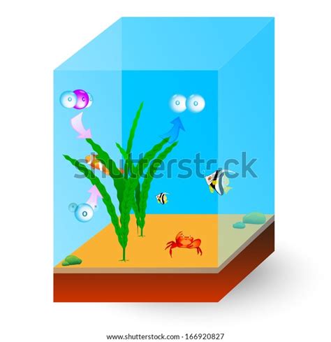 Hydrilla Easy Diagram に対する画像結果