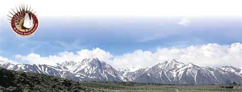 Image result for Grouse Forever