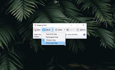 Toradh íomhá ar How to Capture a YouTube Video Free