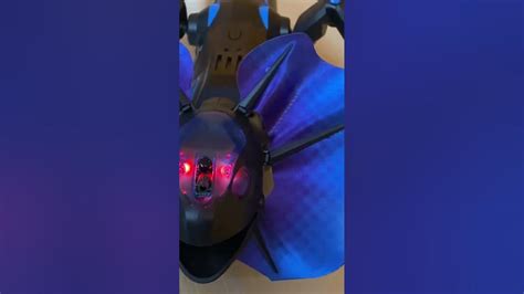 Toradh íomhá ar Remote Control Lizard Dog Toy