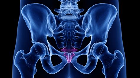 Image result for Human with Monkey Tail