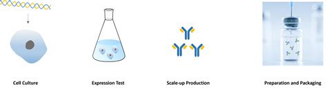 Biologics Formulation Development に対する画像結果