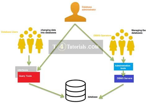 Image result for Database DBMS User