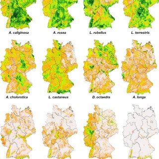 Afbeeldingsresultaten voor Random Distribution in Biology Examples