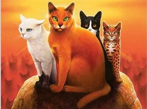 Image result for Splinter Warrior Cats
