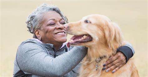 Sibsidzed Retirement Meaning に対する画像結果