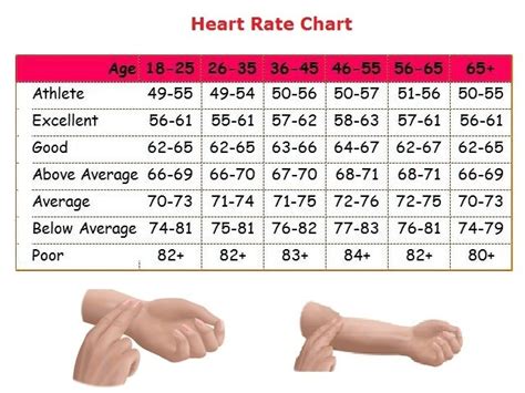 Human Pulse Rate に対する画像結果