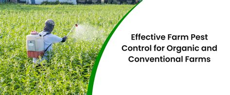 Image result for Pest Control Solution in Natural Farming