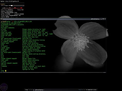 Image result for How to Build Your Own Server